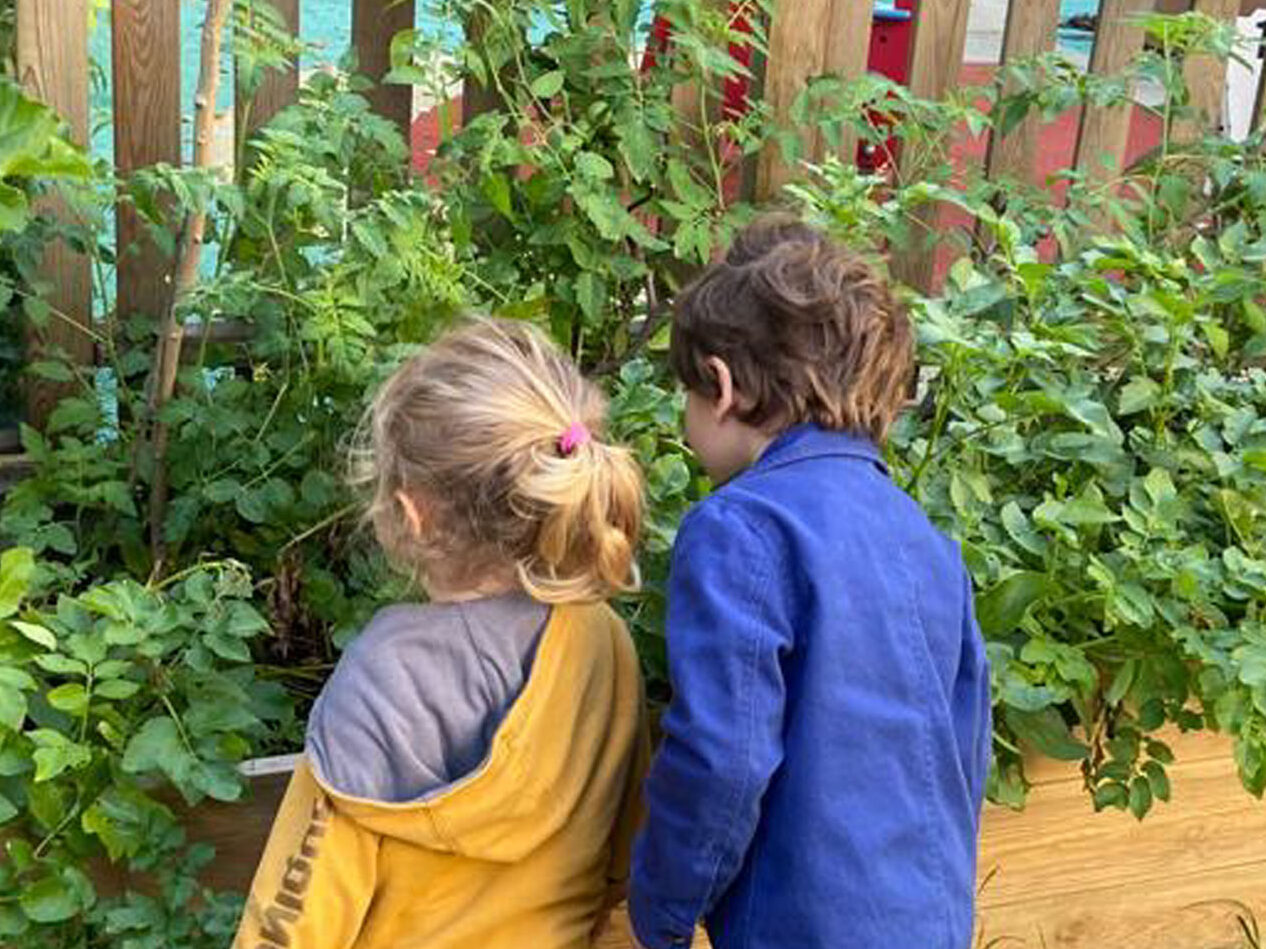 Arc-en-Ciel nous ouvre les portes de son jardin pédagogique