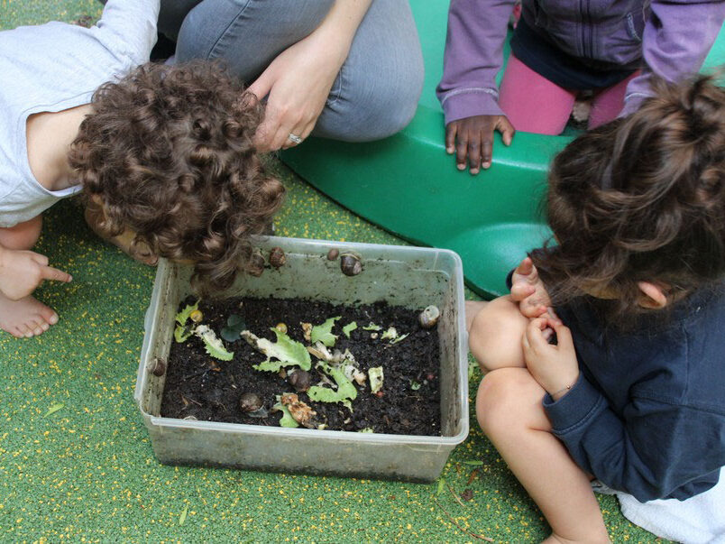 Atelier d’éveil à la nature à la crèche P’tit d’homme